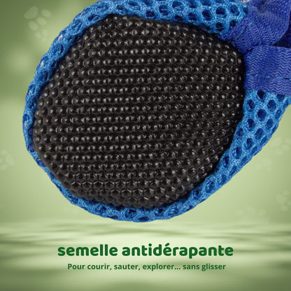 ChooBottes – Chaussures de protection pour Chien